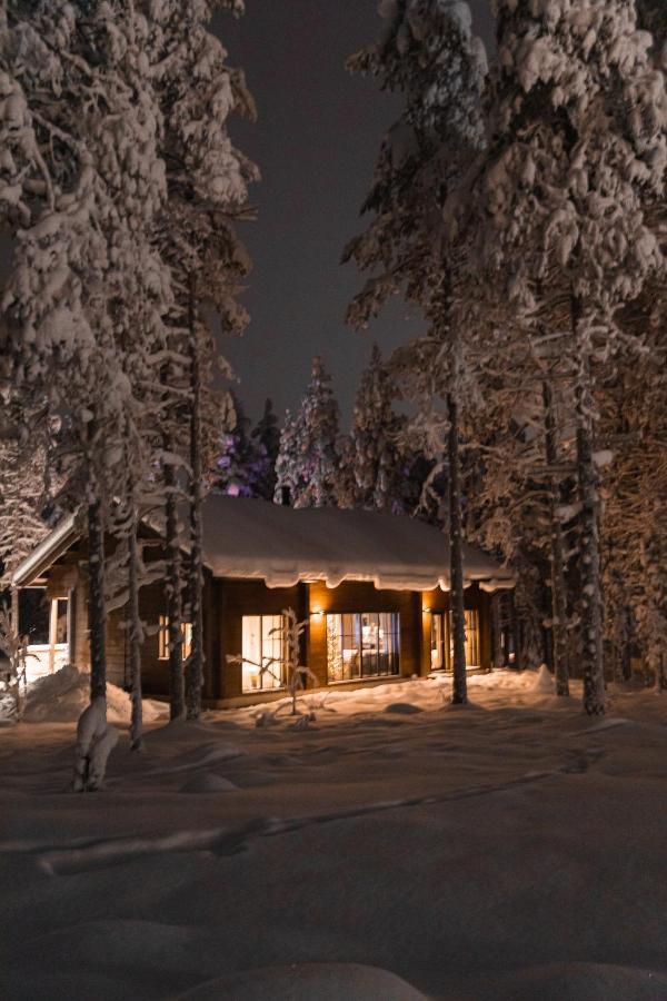Raanakka House - Premium Villa At Levi Exterior photo